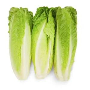 Cœurs de laitue romaine frais, lot de 3