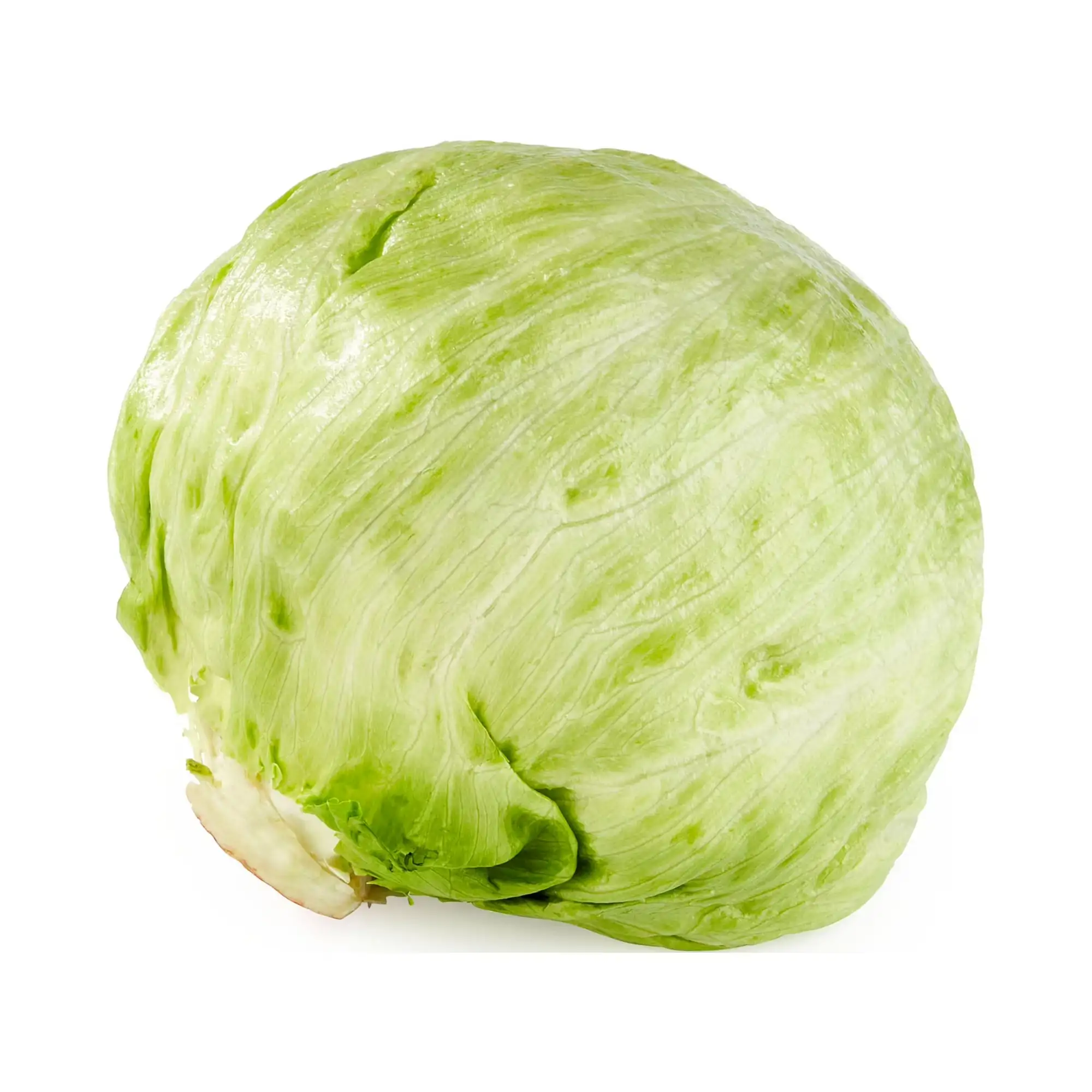 Laitue iceberg fraîche, à l’unité